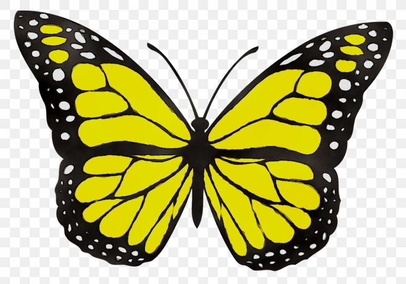 Monarch Butterfly Clip Art Drawing Image, PNG, 1180x826px, Butterfly, Arthropod, Brushfooted Butterfly, Cabbage White, Cynthia Subgenus Download Free