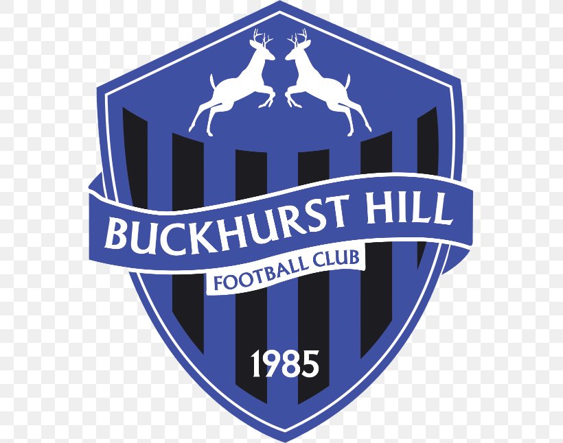Buckhurst Hill Football Club Essex Olympian Football League Epping, Essex Ongar, Essex, PNG, 563x646px, Football, Blue, Brand, Buckhurst Hill, Emblem Download Free
