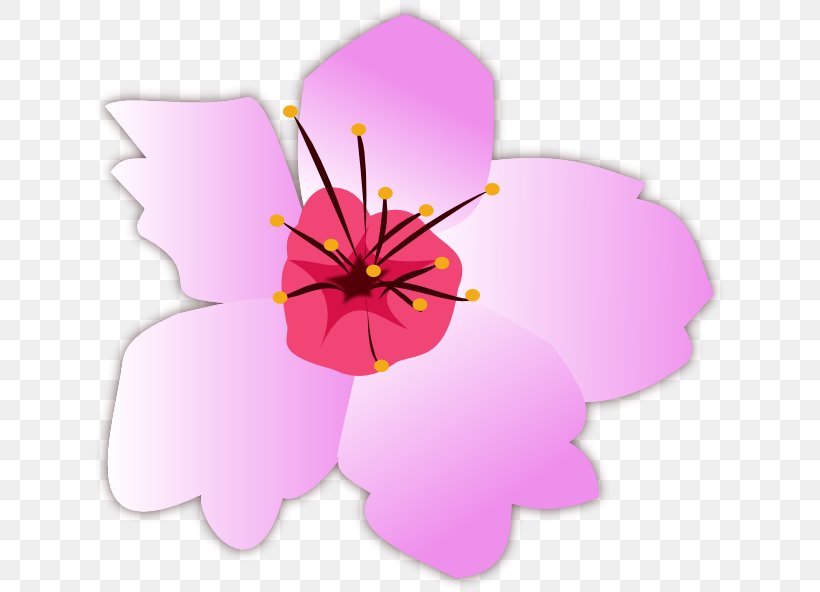 Flower Mallows Lilac Floral Design Plant, PNG, 637x592px, Flower, Flora, Floral Design, Flowering Plant, Hibiscus Download Free