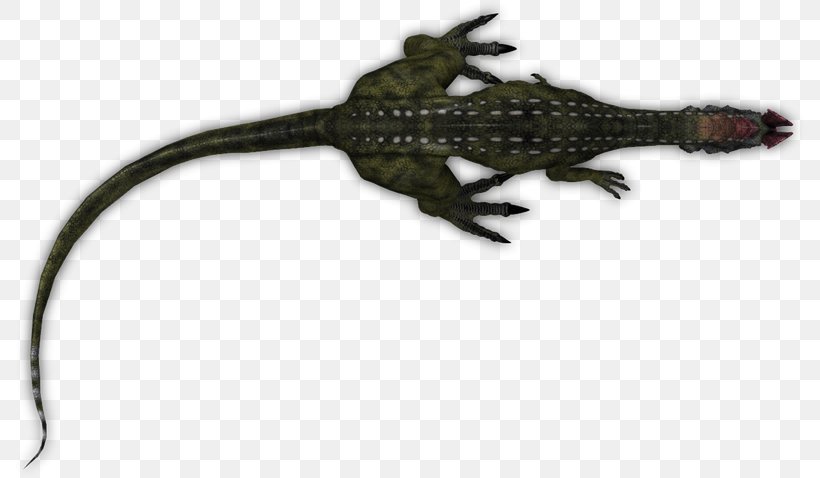Gecko Alligators Lizard Amphibian Terrestrial Animal, PNG, 792x478px, Gecko, Alligator, Alligators, Amphibian, Animal Download Free