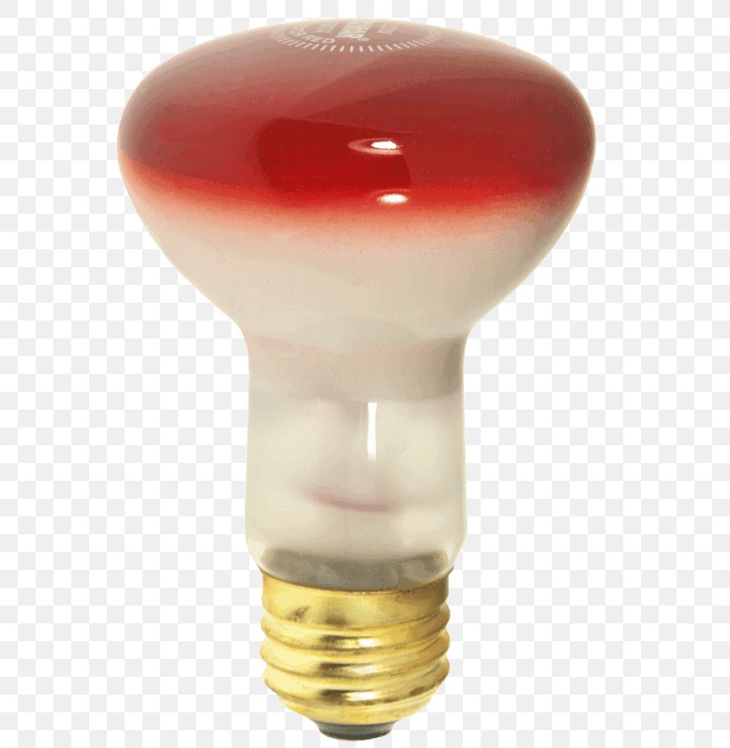 Incandescent Light Bulb Incandescent R20 Red Incandescence Product Design, PNG, 567x840px, Incandescent Light Bulb, Incandescence, Lamp, Light, Light Bulb Download Free