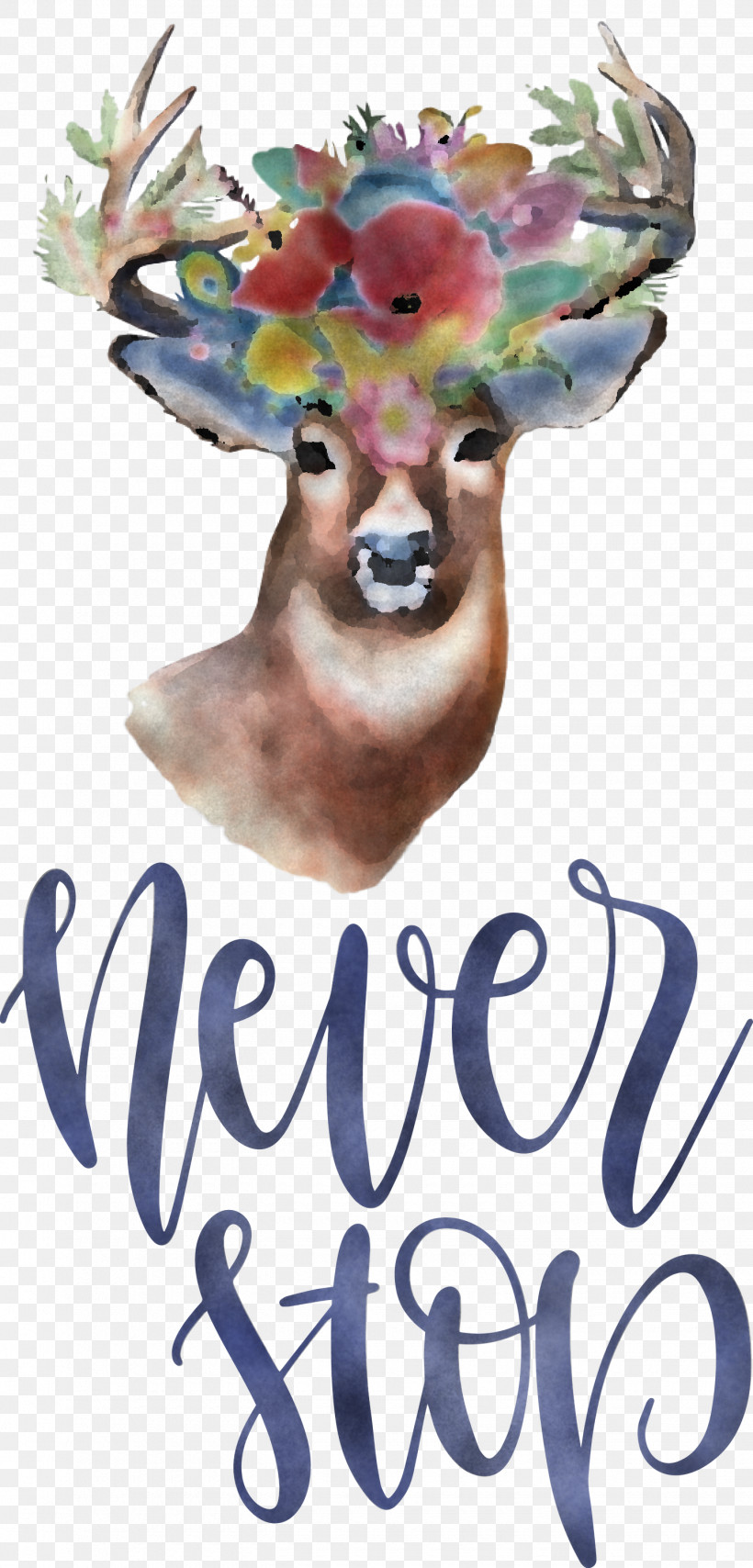 Never Stop Motivational Inspirational, PNG, 1440x3000px, Never Stop, Artist, Colored Pencil, Drawing, Flower Download Free