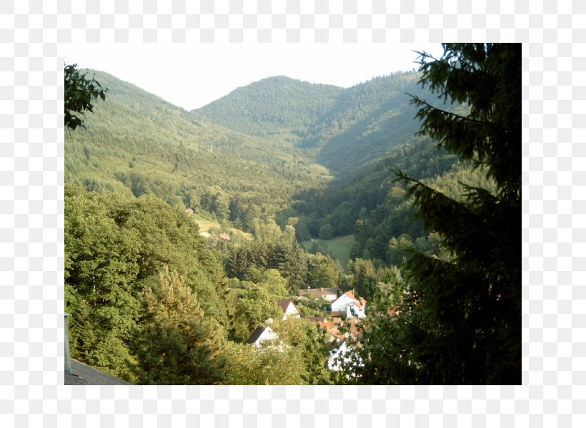 Uwe U. Susanne Bodinus Schweighof Biome Mount Scenery Nature Reserve, PNG, 800x600px, Biome, Badenweiler, Ecosystem, Escarpment, Forest Download Free