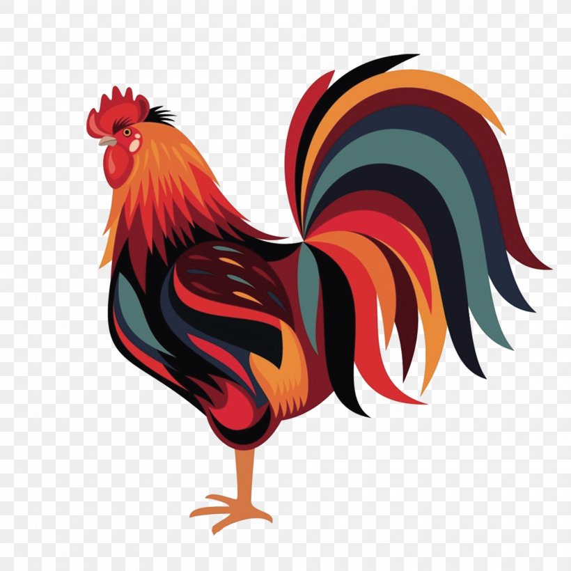 Wyandotte Chicken Rooster Zazzle Download, PNG, 2000x2000px, Wyandotte Chicken, Android, Beak, Bird, Chicken Download Free