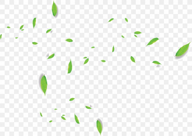 Green Leaf, PNG, 2382x1683px, Green, Deciduous, Floating Material, Grass, Leaf Download Free