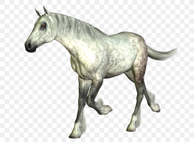 Mustang Foal Stallion Pony Pack Animal, PNG, 800x600px, Mustang, Animal, Animal Figure, Blog, Fictional Character Download Free