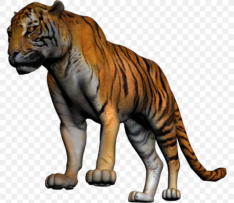 Siberian Tiger Lion Cat Animal White Tiger, PNG, 771x712px, Siberian Tiger, Animal, Big Cat, Big Cats, Carnivora Download Free