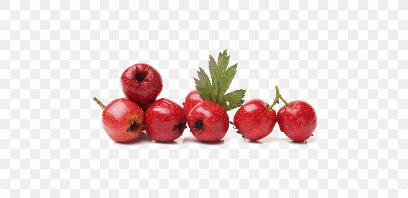 Barbados Cherry Common Hawthorn Berries Stock.xchng Food, PNG, 1580x770px, Barbados Cherry, Accessory Fruit, Acerola, Acerola Family, Apple Download Free