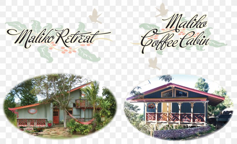 House Window Wall Maui Cottage, PNG, 1600x977px, House, Brand, Bustle, Coffee, Cottage Download Free
