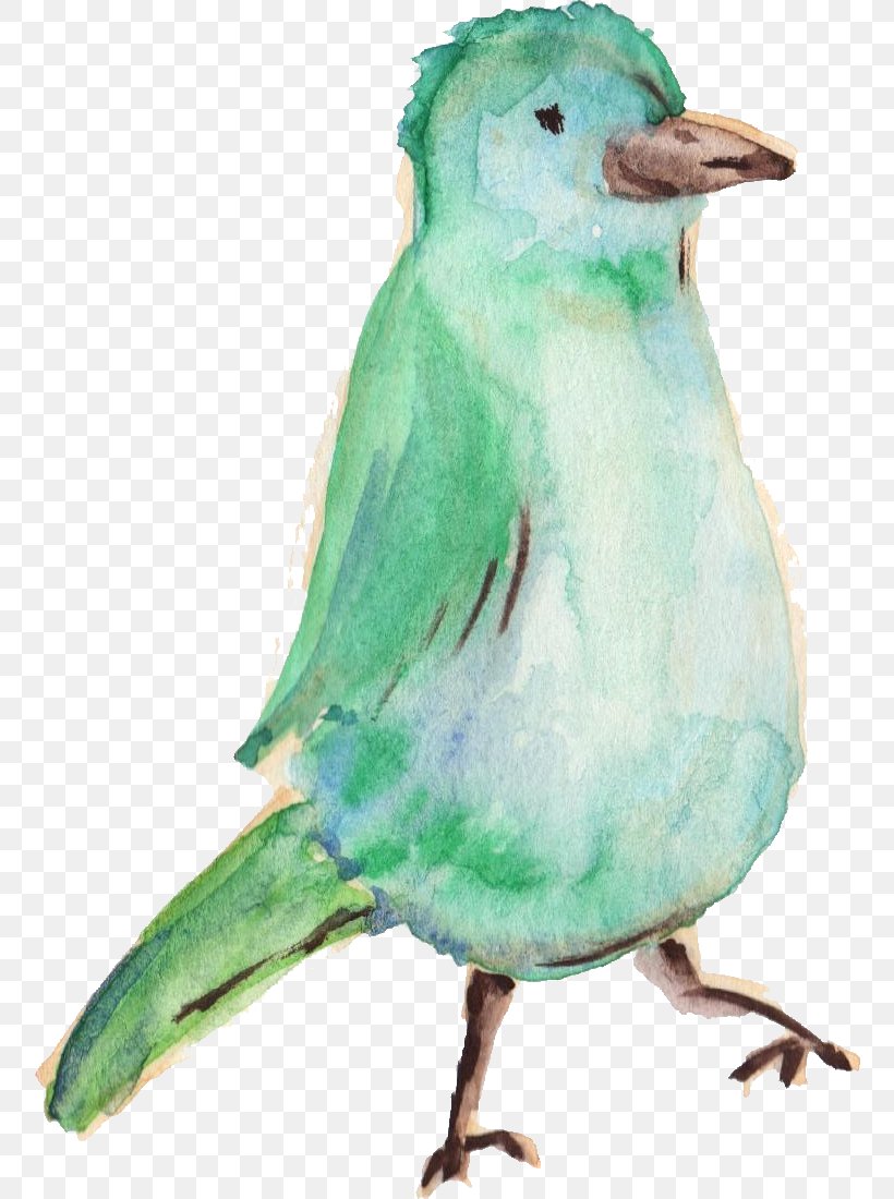 Hummingbird Parrot Parakeet, PNG, 758x1100px, Bird, Animal, Art, Beak, Belted Kingfisher Download Free