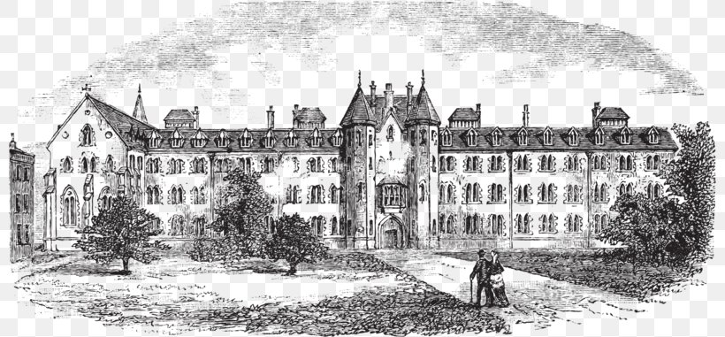 Maynooth University St Patricks College, Maynooth La Martiniere College Illustration, PNG, 800x381px, Maynooth University, Alamy, Almshouse, Artwork, Black And White Download Free