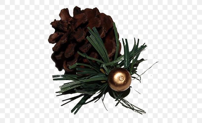 Pine Nut Conifer Cone Download, PNG, 500x500px, Pine, Auglis, Brown, Christmas, Christmas Ornament Download Free