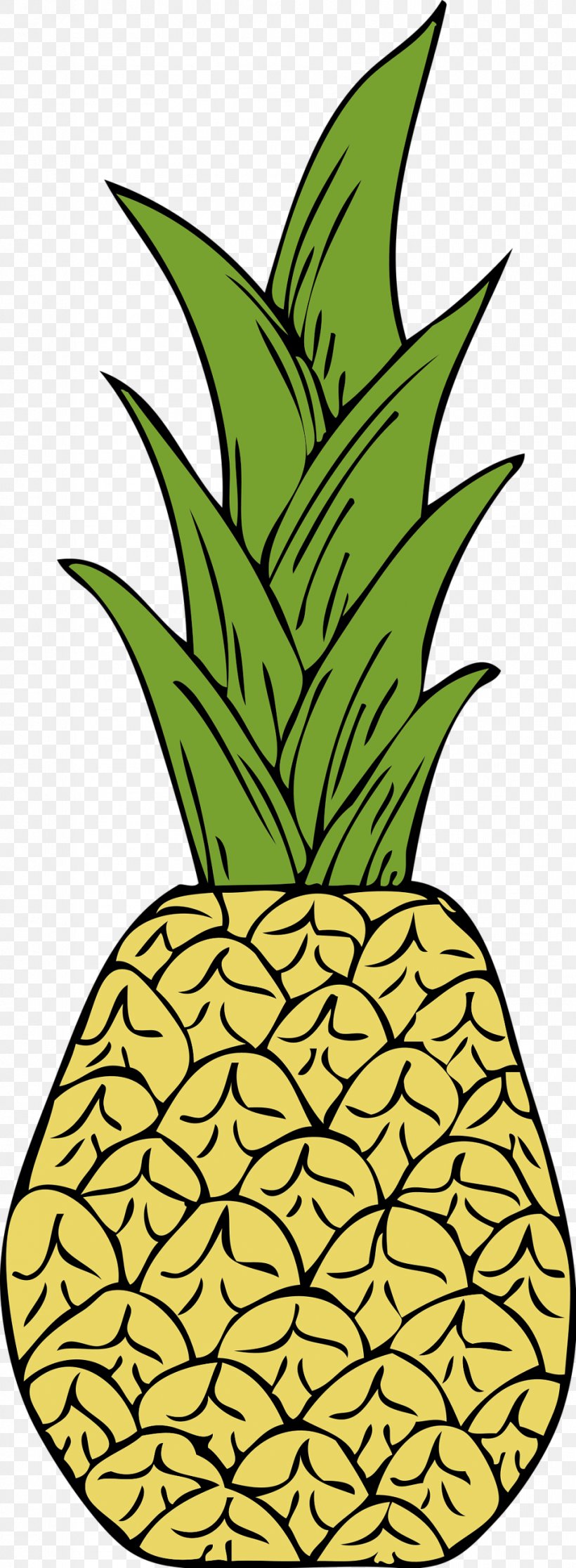 Pineapple Clip Art, PNG, 958x2608px, Pineapple, Ananas, Artwork, Drawing, Flowering Plant Download Free