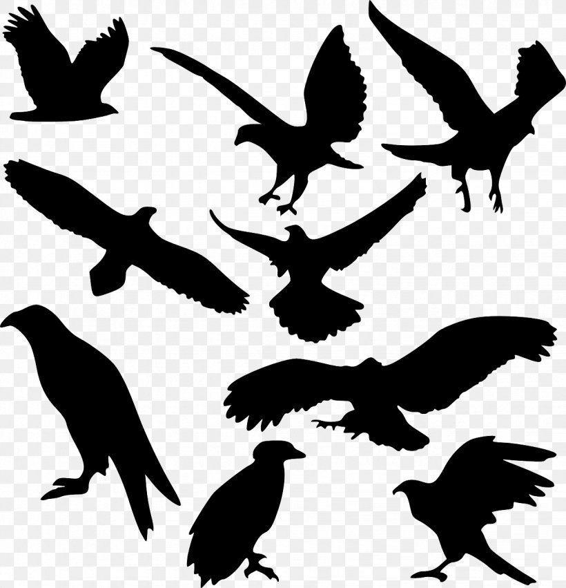 Bird Art Clip Art, PNG, 1232x1280px, Bird, Art, Beak, Bird Of Prey, Black And White Download Free