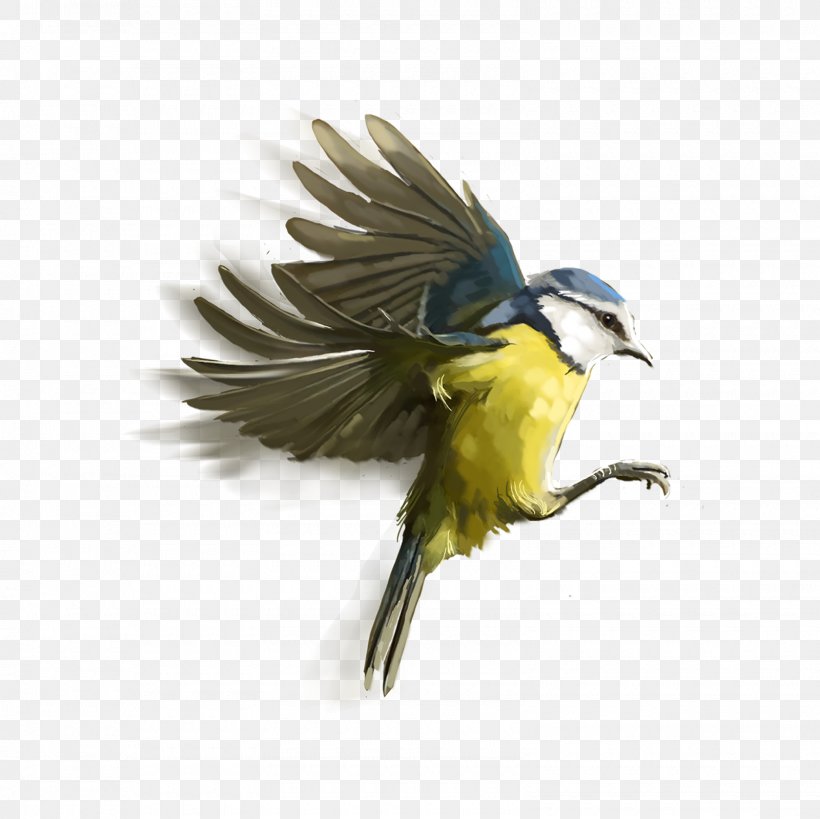 Bird Editing PicsArt Photo Studio Clip Art, PNG, 1600x1600px, Bird, Beak, Editing, Fauna, Feather Download Free