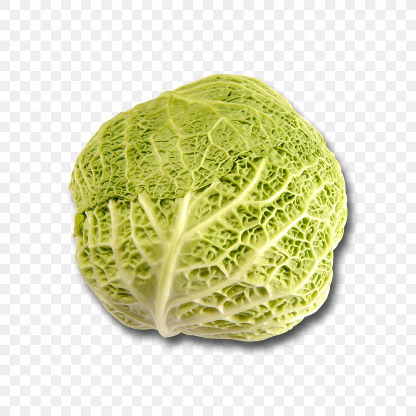Cauliflower Savoy Cabbage Collard Greens Chou, PNG, 1200x1200px, Cauliflower, Brassica Oleracea, Cabbage, Chou, Collard Greens Download Free