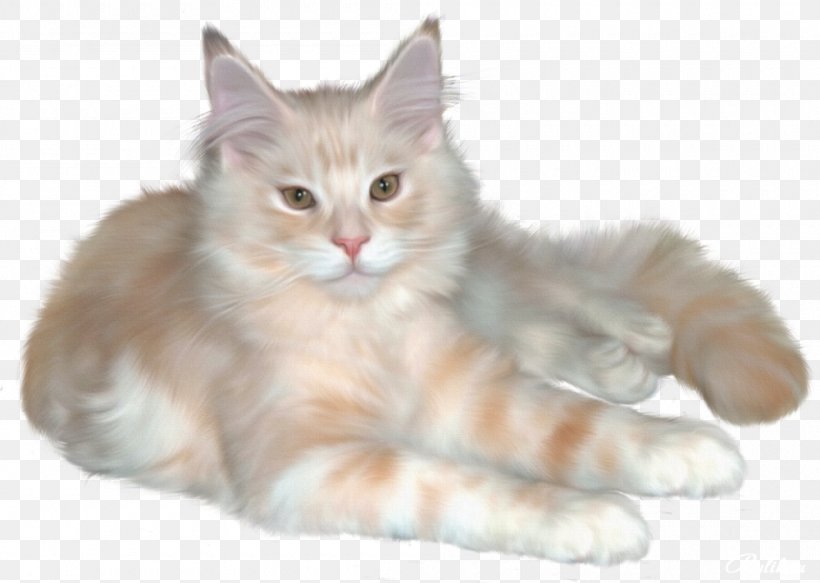 Persian Cat Kitten Ragdoll Cymric Cat Clip Art, PNG, 1000x712px, Persian Cat, Art, Asian Semi Longhair, Black Cat, British Semi Longhair Download Free