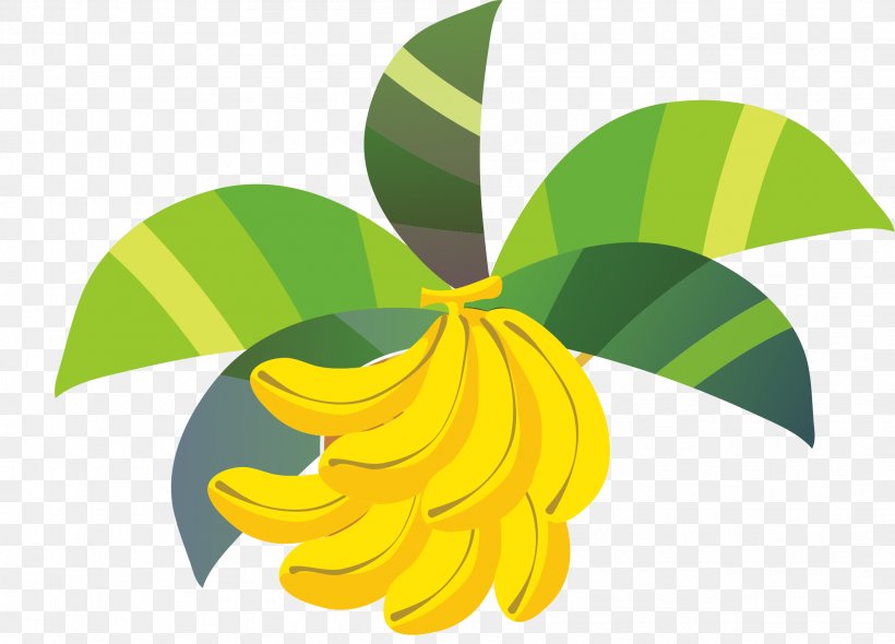 Vector Graphics Image Design Illustration Painting, PNG, 2108x1519px, Painting, Art, Banana, Cartoon, Creative Work Download Free