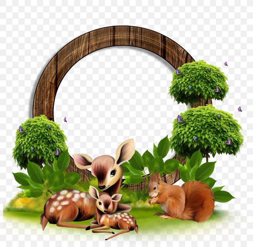 Afternoon Morning Clip Art, PNG, 800x800px, Afternoon, Day, Editing, Evening, Fauna Download Free