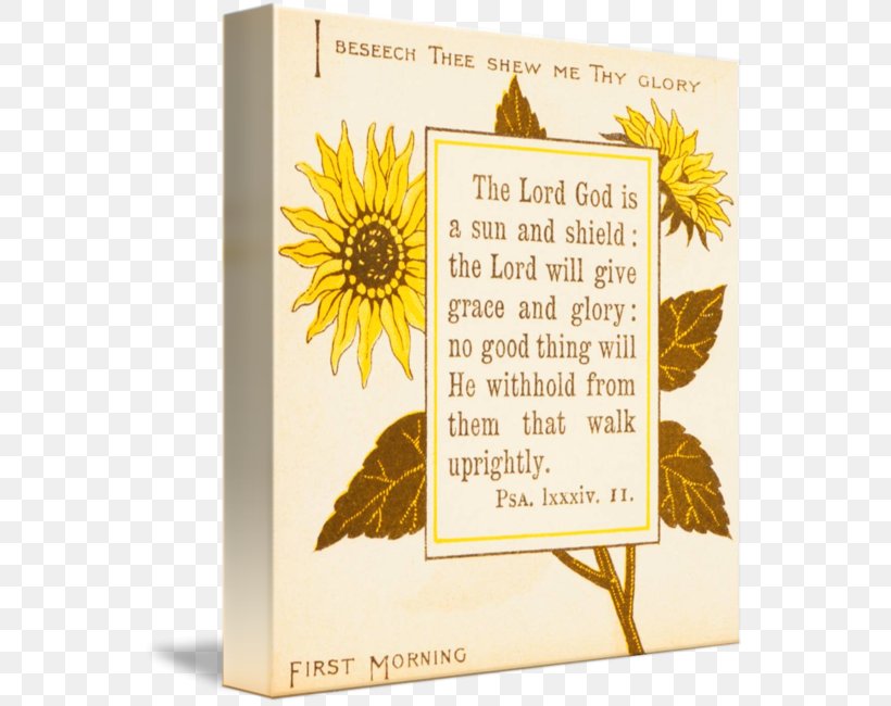 Bible Book Common Sunflower Sunflower M Poetry, PNG, 555x650px, Bible, Antique, Art, Book, Canvas Download Free