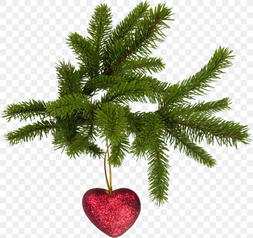 Christmas Tree Christmas Decoration Christmas Ornament, PNG, 1600x1509px, Christmas, Artificial Christmas Tree, Branch, Christmas Decoration, Christmas Lights Download Free