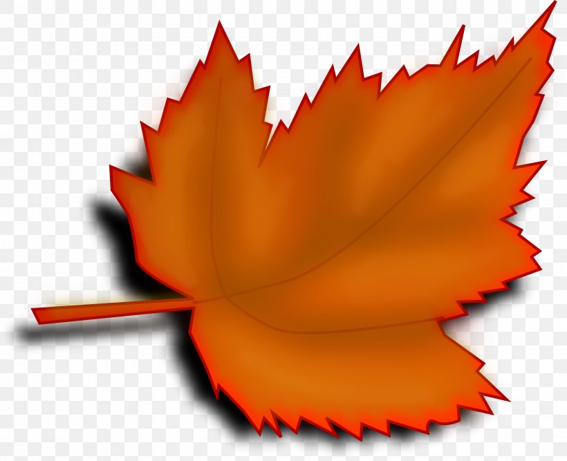 Clip Art Autumn Leaf Color Trees And Leaves, PNG, 2160x1757px, Leaf, Autumn Leaf Color, Drawing, Flower, Japanese Maple Download Free