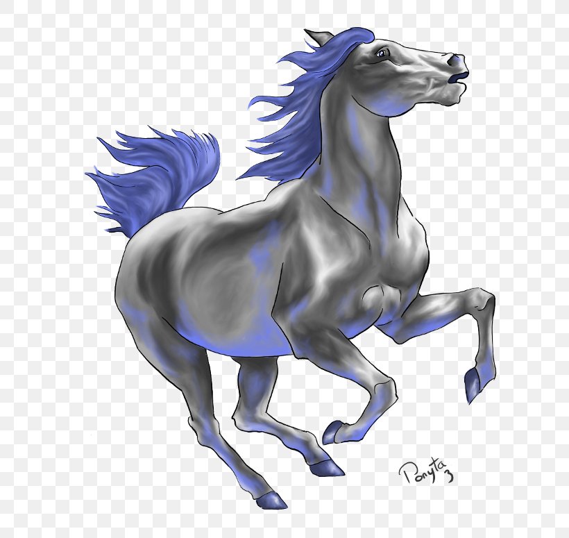 Drawing Mustang Stallion Birthday, PNG, 700x775px, Watercolor, Cartoon, Flower, Frame, Heart Download Free