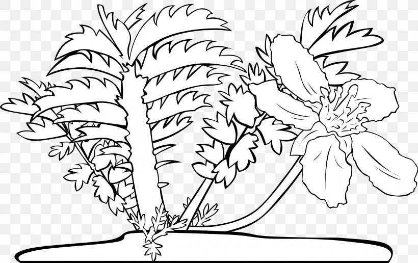 Flower Vector Graphics Petal Clip Art Floral Design, PNG, 2400x1511px, Flower, Blackandwhite, Botany, Coloring Book, Feather Download Free