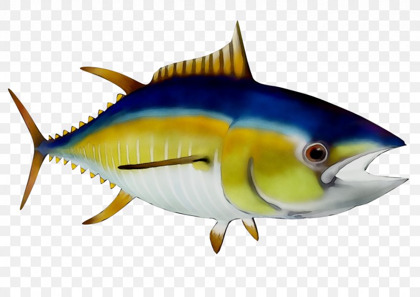 True Tunas Marine Biology Oily Fish Coral Reef Fish Sardine, PNG, 1664x1176px, True Tunas, Atlantic Bluefin Tuna, Biology, Bonyfish, Coral Download Free