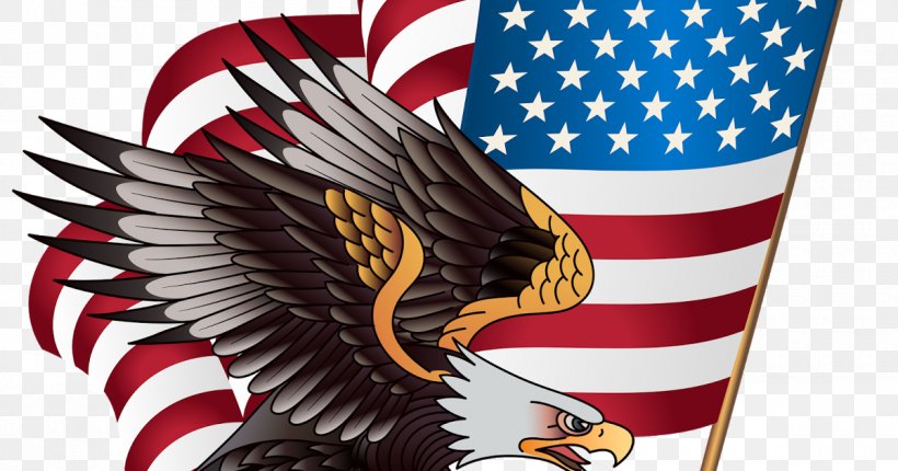 United States Of America Bald Eagle Clip Art Flag Of The United States Image, PNG, 1200x630px, United States Of America, American Eagle Outfitters, Bald Eagle, Beak, Bird Of Prey Download Free