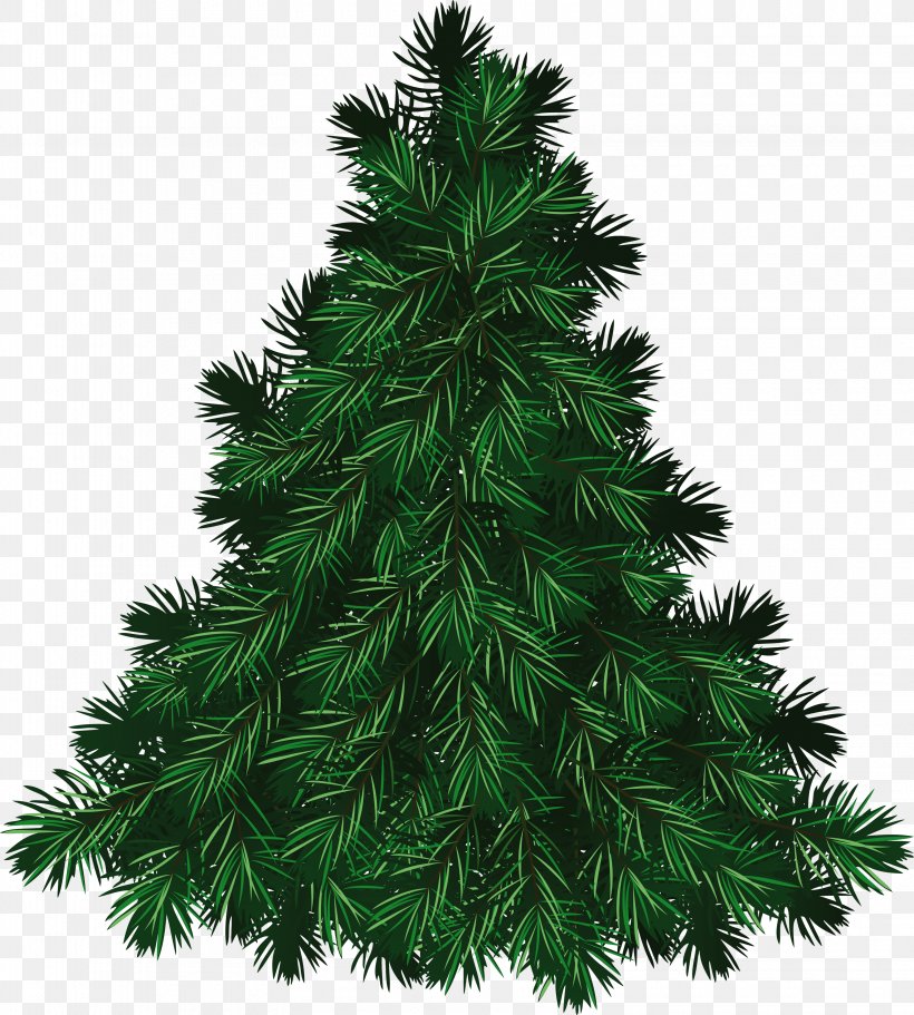 Balsam Fir The Fir-Tree Pine Cedar The Little Fir Tree, PNG, 3160x3514px, Pine, Balsam Fir, Cedar, Christmas, Christmas Decoration Download Free