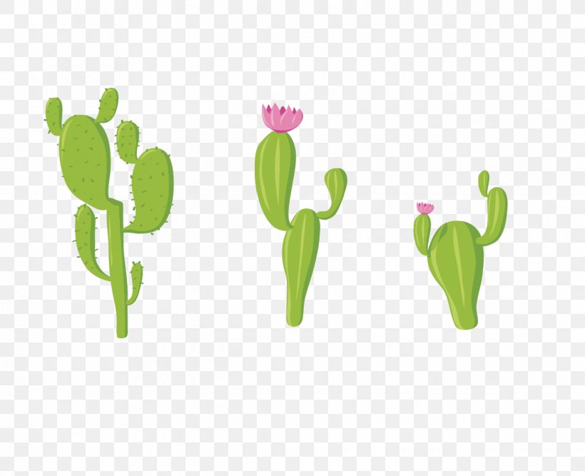 Cactaceae Green, PNG, 1240x1009px, Watercolor, Cartoon, Flower, Frame, Heart Download Free