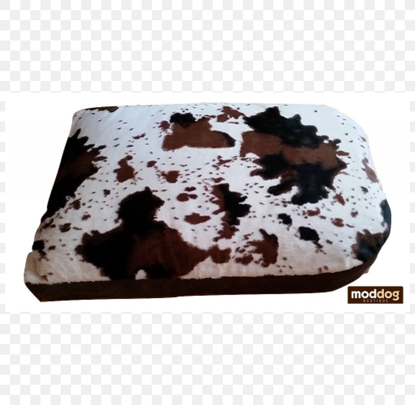 Cattle Dog Cow Futon Chocolate, PNG, 800x800px, Cattle, Bed, Carpet, Chocolate, Cow Download Free