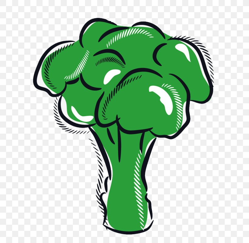Cauliflower Clip Art Sprouting Broccoli Vector Graphics Vegetable, PNG, 800x800px, Cauliflower, Broccoli, Cartoon, Green, Greens Download Free