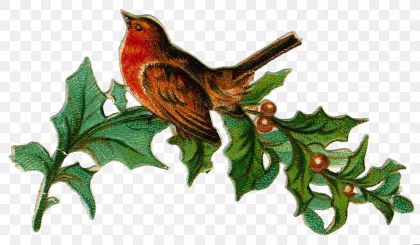Christmas Ornament Victorian Era Christmas Decoration Clip Art, PNG, 1050x615px, Christmas, Animation, Beak, Bird, Branch Download Free