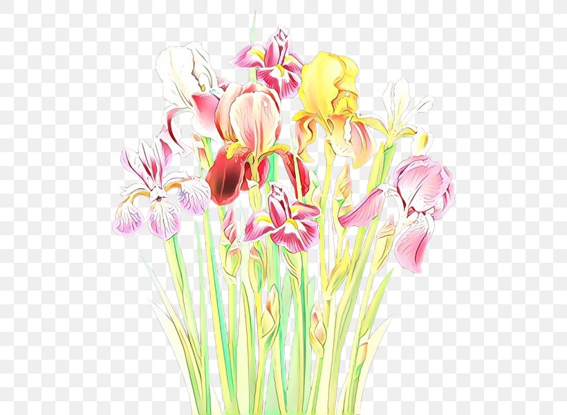 Flower Cut Flowers Plant Pink Pedicel, PNG, 508x600px, Cartoon, Cut Flowers, Flower, Iris, Pedicel Download Free