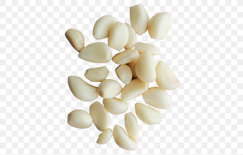 Garlic Bread Solo Garlic Food Vegetable, PNG, 500x522px, Garlic Bread, Clove, Commodity, Food, Garlic Download Free