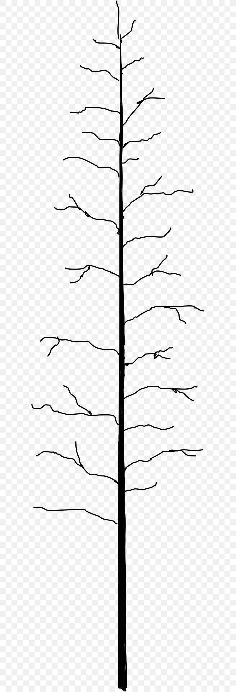Tree Stump Arecaceae Leaf Clip Art, PNG, 601x2400px, Tree, Area, Arecaceae, Autumn Leaf Color, Black And White Download Free
