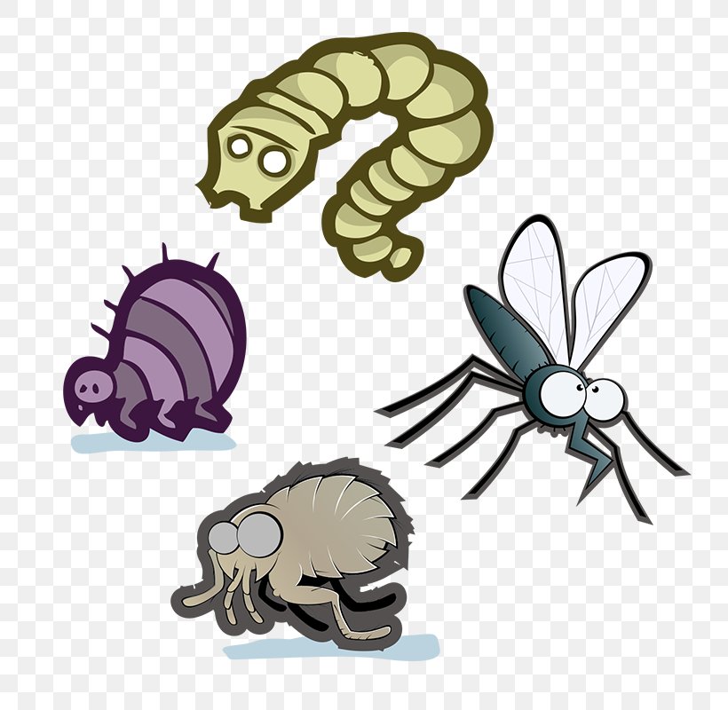 Crab Cartoon, PNG, 800x800px, Insect, Animal Figure, Baldfaced Hornet, Cartoon, Entomopathogenic Fungus Download Free