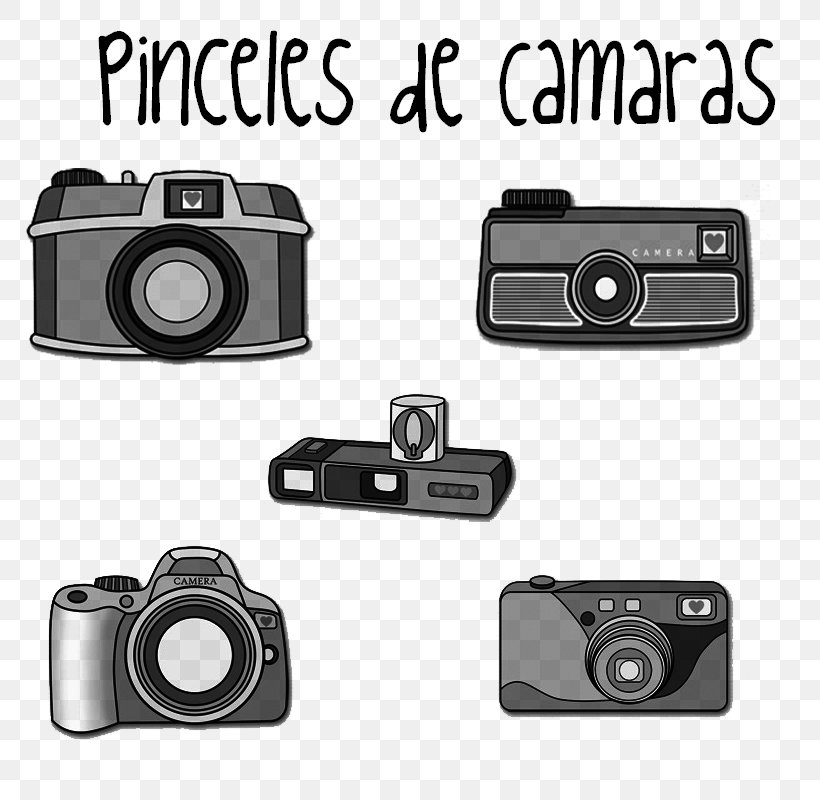 Digital Cameras Photography Paintbrush, PNG, 800x800px, Digital Cameras, Adventure Time, Brush, Camera, Camera Accessory Download Free