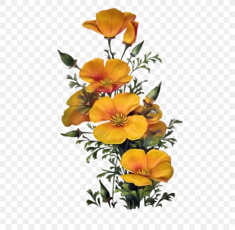 Floral Design California Christmas Card Flower, PNG, 513x800px, Floral Design, Art, California, California Poppy, Canvas Print Download Free