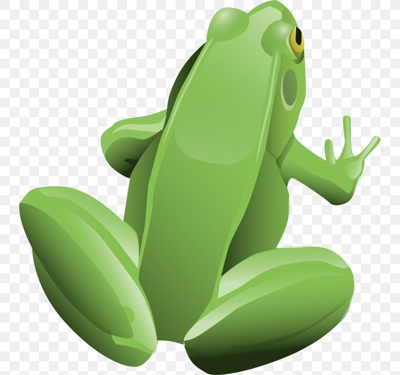 Frog Clip Art, PNG, 741x768px, Frog, Amphibian, Animation, Drawing, Organism Download Free