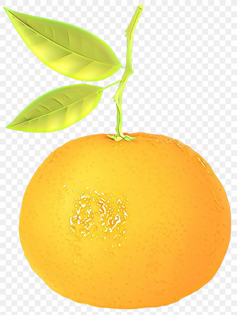 Orange, PNG, 2253x2999px, Orange, Citrus, Fruit, Grapefruit, Leaf Download Free