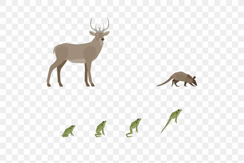 Reindeer Antler Fauna Wildlife, PNG, 1200x803px, Reindeer, Antler, Deer, Fauna, Grass Download Free