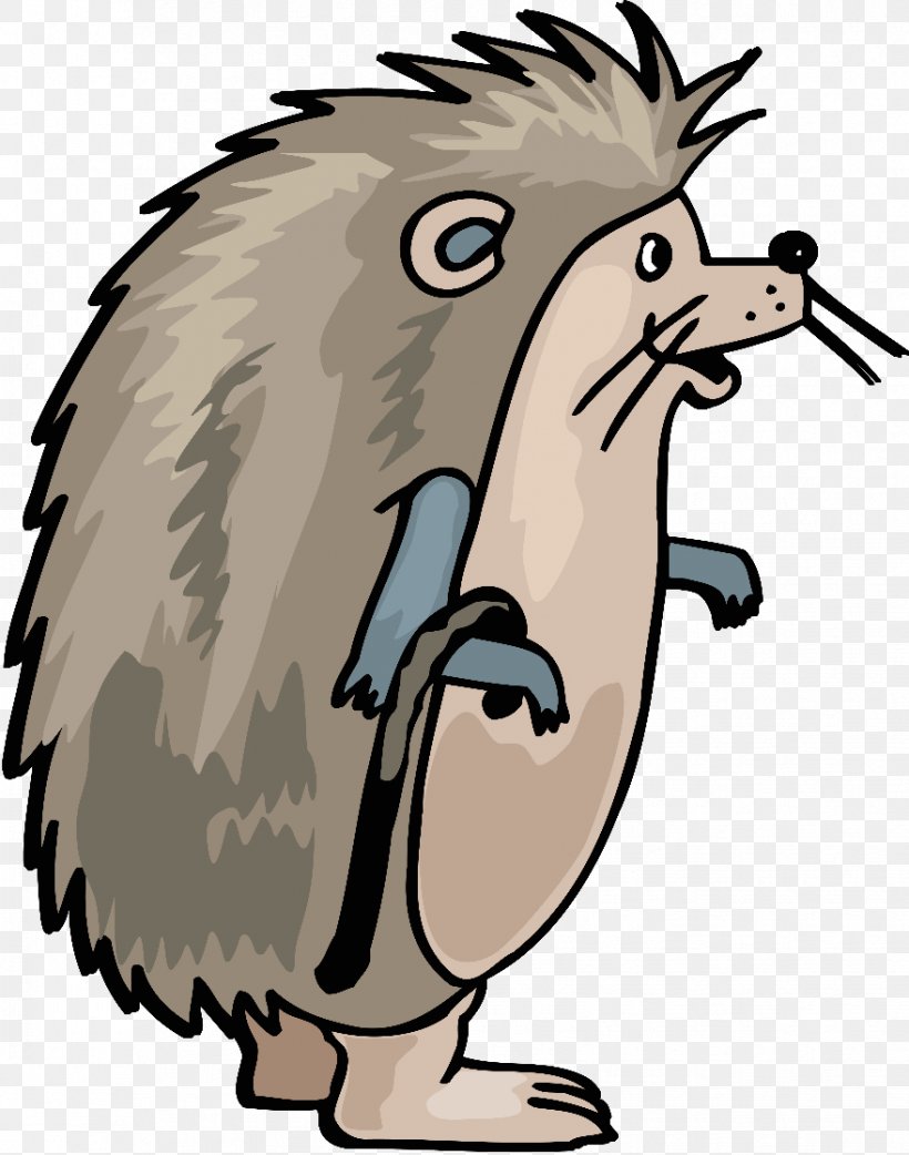 European Hedgehog Clip Art, PNG, 879x1117px, Hedgehog, Beak, Bear, Beaver, Carnivoran Download Free