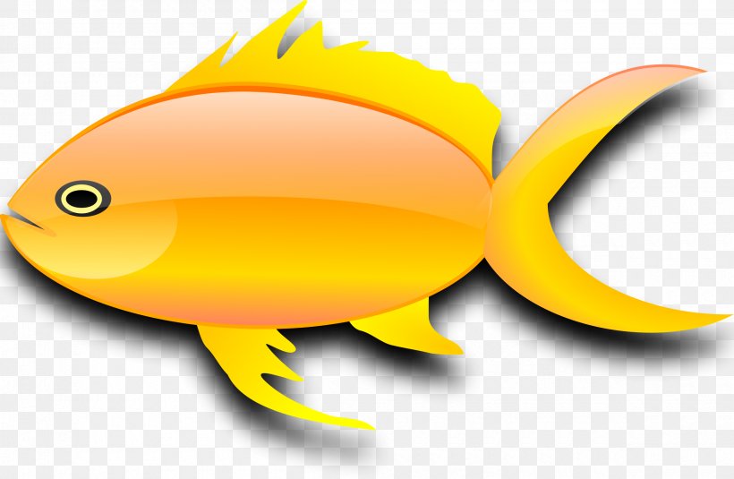 Goldfish Clip Art, PNG, 2400x1567px, Goldfish, Beak, Fish, Orange, Organism Download Free