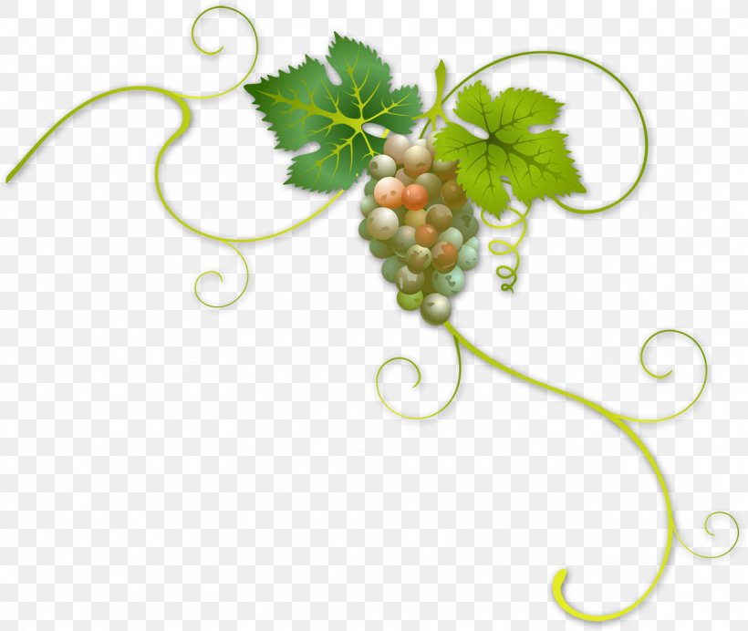 Wine Label Common Grape Vine, PNG, 1178x995px, Wine, Body Jewelry, Bottle, Common Grape Vine, Fruit Download Free