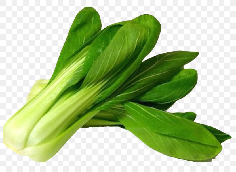 Chinese Cuisine Chinese Cabbage Clip Art Vegetable, PNG, 800x600px, Chinese Cuisine, Bok Choi, Cabbage, Chinese Cabbage, Choy Sum Download Free