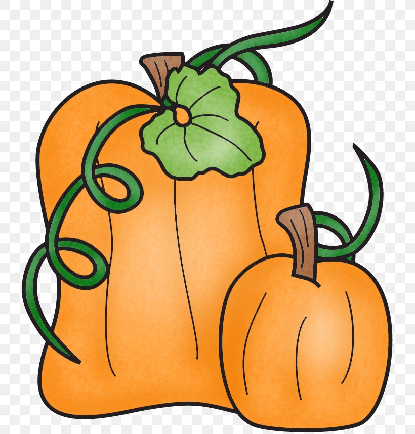 Jack-o'-lantern Gourd Calabaza Clip Art Pumpkin, PNG, 733x858px, Gourd, Artwork, Calabaza, Cucurbita, Flower Download Free