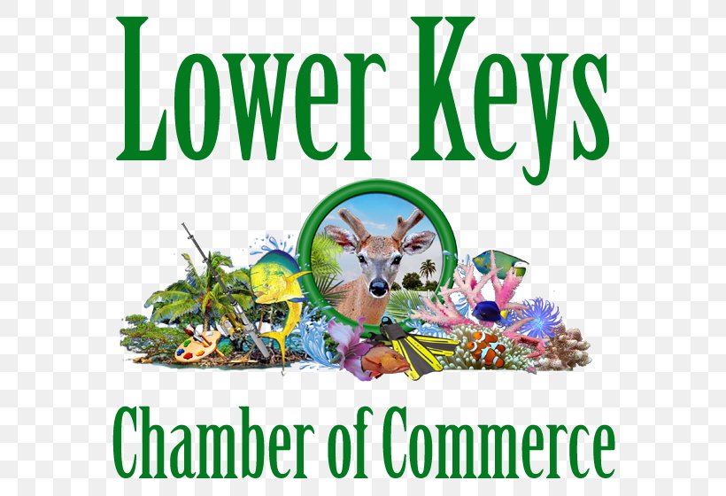 Key West Florida Keys Lower Keys Chamber Of Commerce Sea Vista Estate, PNG, 640x560px, Key West, Big Pine Key, Business, Chamber Of Commerce, Easter Download Free